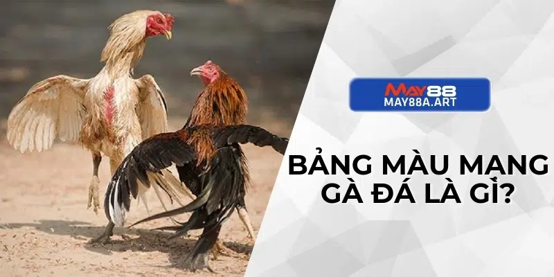 Bảng màu mạng gà đá là gì?