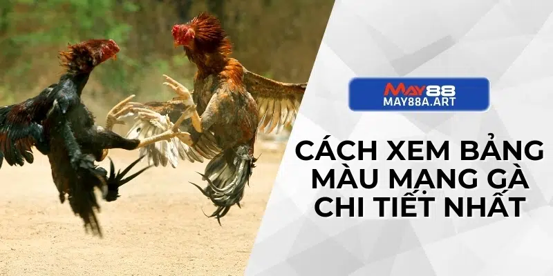 Cách xem bảng màu mạng gà chi tiết nhất