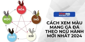 Cách Xem Màu Mạng Gà Đá Theo Ngũ Hành Mới Nhất 2024