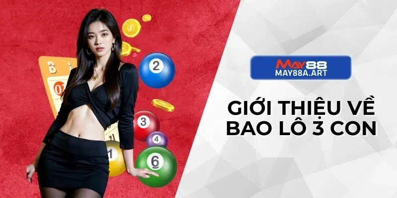 Giới thiệu về bao lô 3 con