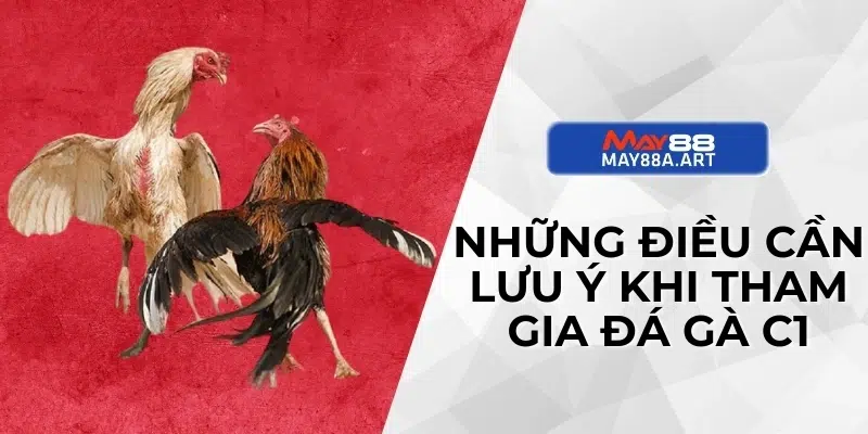 Những điều cần lưu ý khi tham gia đá gà C1