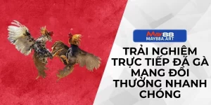 Trải Nghiệm Trực Tiếp Đá Gà Mạng Đổi Thưởng Nhanh Chóng