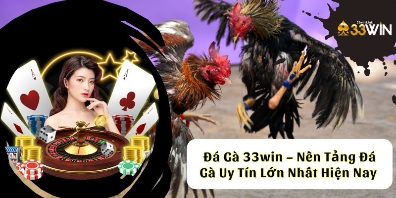 Đá gà 33win nền tảng đá gà uy tín lớn nhất hiện nay