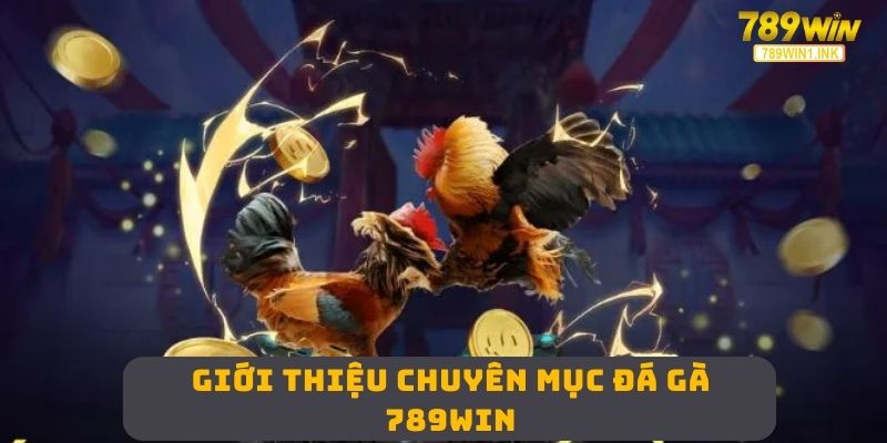 Giới thiệu chuyên mục đá gà 789WIN