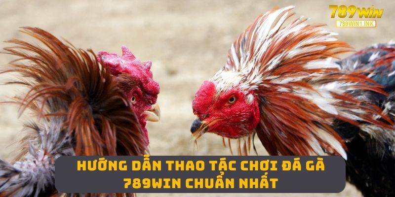 Hướng dẫn thao tác chơi đá gà 789WIN chuẩn nhất