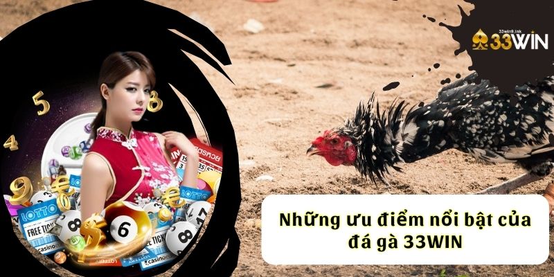 Những ưu điểm nổi bật của đá gà 33WIN