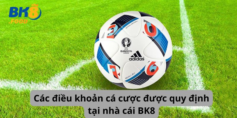 Các điều khoản cá cược được quy định tại nhà cái BK8