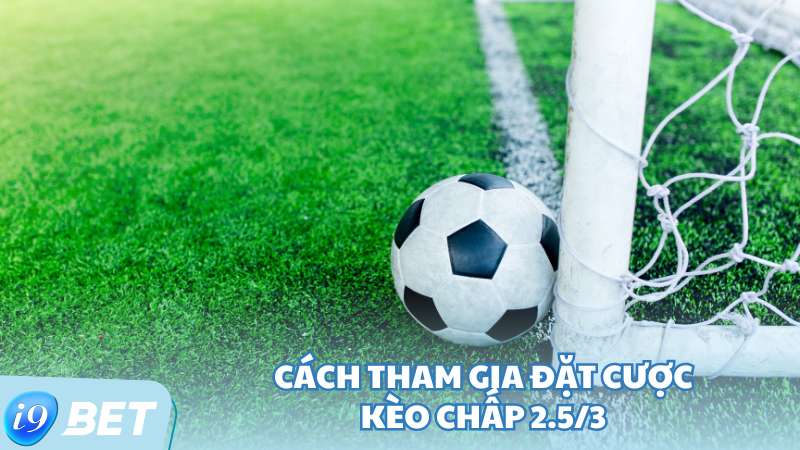 Cách tham gia đặt cược kèo chấp 2.5/3