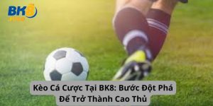 Kèo Cá Cược Tại BK8: Bước Đột Phá Để Trở Thành Cao Thủ