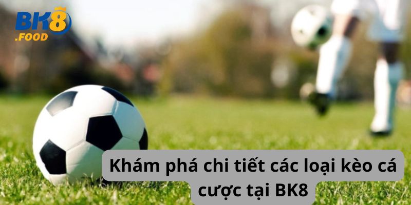 Khám phá chi tiết các loại kèo cá cược tại BK8