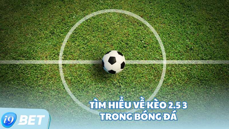 Tìm hiểu về kèo 2.5 3 trong bóng đá