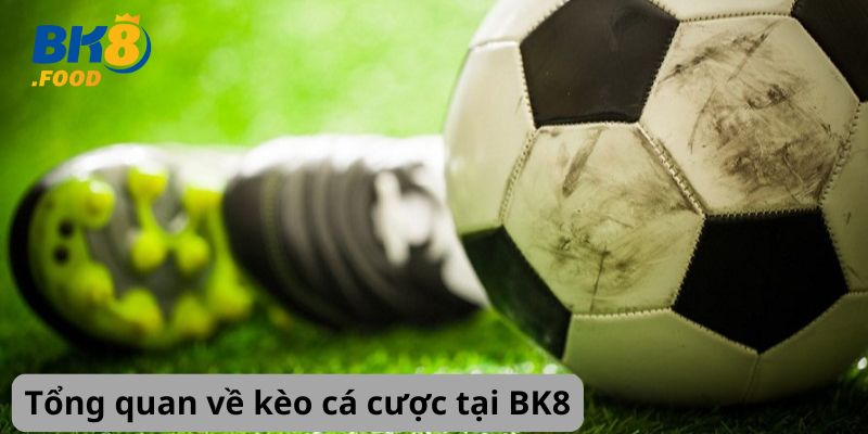 Tổng quan về kèo cá cược tại BK8